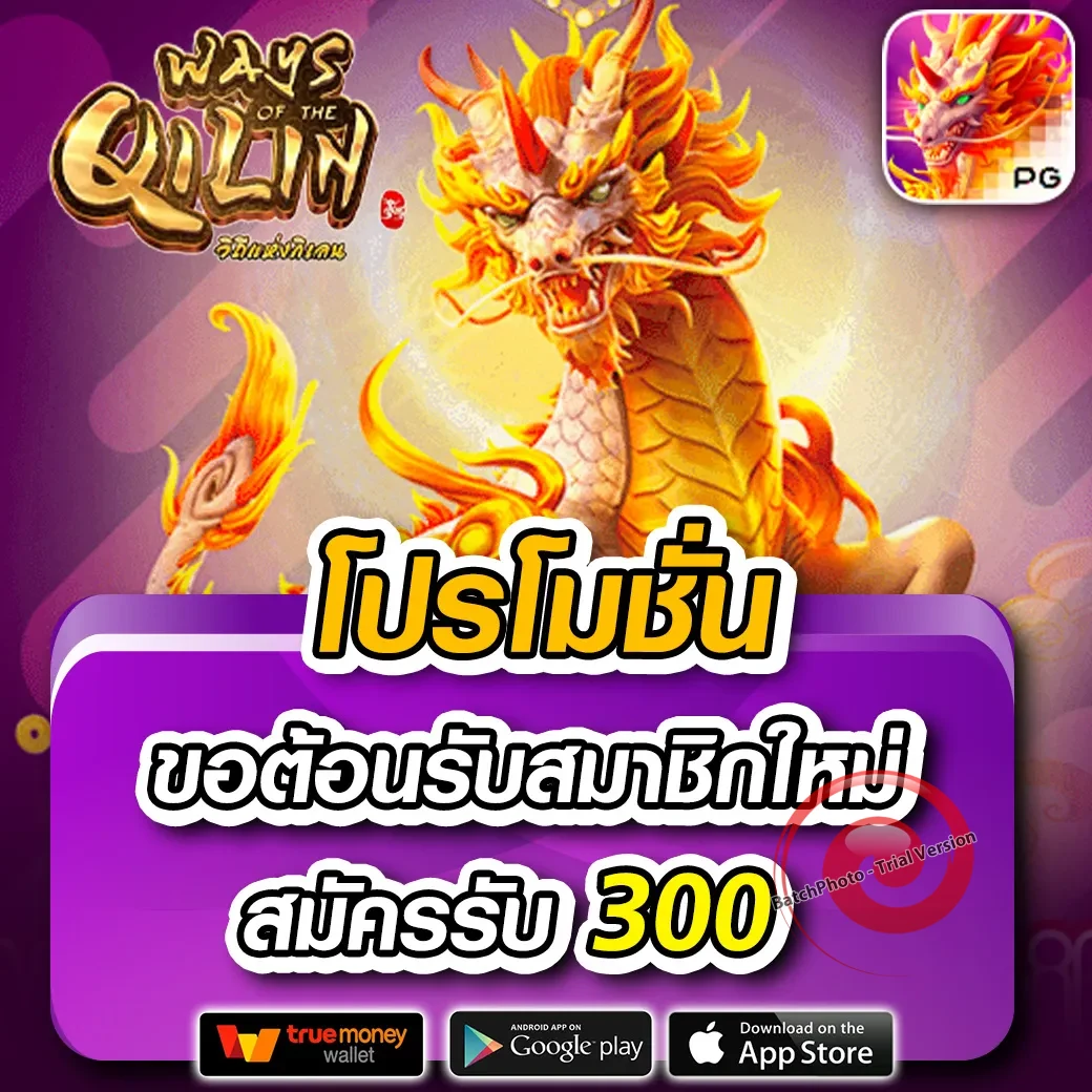 kingreal100m เข้าสู่ระบบ